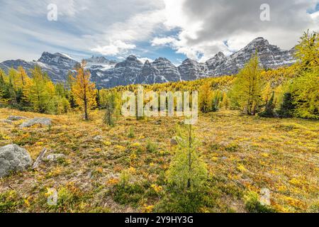 Belles vues panoramiques de l'automne à Sentinal Pass, Larch Valley en septembre avec de la neige légère couvrant l'incroyable paysage du nord du Canada, Banque D'Images