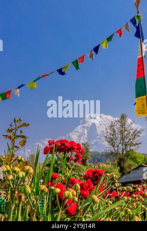 Drapeaux de prière traditionnels tibetiens dans les montagnes de l'Himalaya au Népal. Beau paysage de montagnes et ciel bleu. Drapeau rouge, jaune, vert, bleu et blanc Banque D'Images