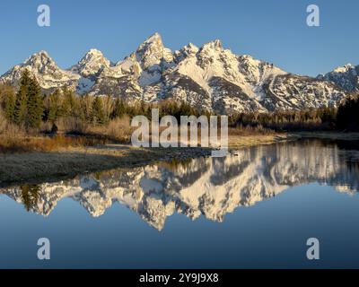 Tôt le matin à Schwabacher Landing, Grand Teton National Park, Wyoming, États-Unis Banque D'Images