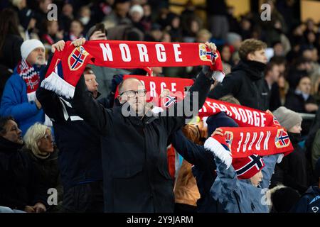 Oslo, Norvège. 10 octobre 2024. Oslo, Norvège, le 10 octobre 2024 : des supporters norvégiens sont vus avant le match de football du Groupe B3 de l'UEFA de la Ligue des Nations entre la Norvège et la Slovénie au stade Ullevaal à Oslo, en Norvège. (ANE Frosaker/SPP) crédit : SPP Sport Press photo. /Alamy Live News Banque D'Images
