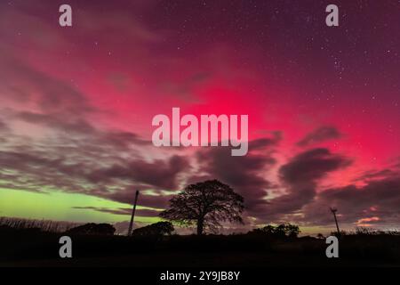 Knowstone, Royaume-Uni. 10e oct. L'Aurora Borealis fait un spectacle spectaculaire dans le ciel au-dessus du parc éolien Batsworthy Cross dans le Mid Devon. Crédit : Mark Passmore / Alamy Live News Banque D'Images