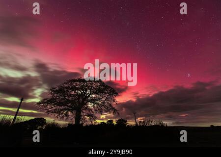 Knowstone, Royaume-Uni. 10e oct. L'Aurora Borealis fait un spectacle spectaculaire dans le ciel au-dessus du parc éolien Batsworthy Cross dans le Mid Devon. Crédit : Mark Passmore / Alamy Live News Banque D'Images