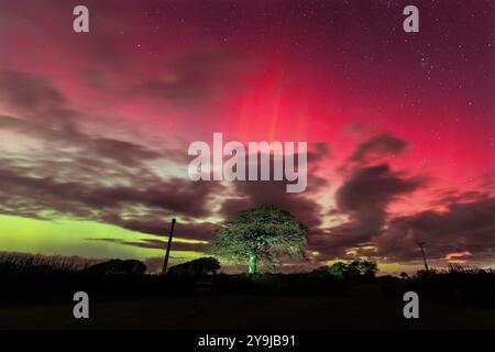 Knowstone, Royaume-Uni. 10e oct. L'Aurora Borealis fait un spectacle spectaculaire dans le ciel au-dessus du parc éolien Batsworthy Cross dans le Mid Devon. Crédit : Mark Passmore / Alamy Live News Banque D'Images