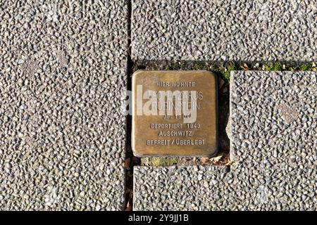 Wiesbaden, Allemagne -29 septembre 2024 : pierres coupantes sur le trottoir devant l'ancienne maison juive de Wiesbaden pour Leo Lazarus Rubinstein. Il l'était Banque D'Images