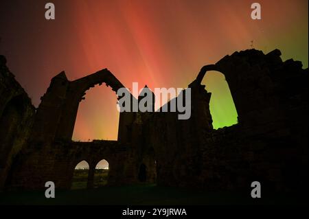 Abbaye de Haughmond, Shrewsbury. 11 octobre 2024. De vives aurores boréales brillent autour des ruines de l'abbaye de Haughmond près de Shrewsbury aux premières heures du vendredi matin. L'aurore était visible dans la plupart des régions du Royaume-Uni. Haughmond a été fondée en tant que petite chapelle ou ermitage sur une colline boisée à l'est de Shrewsbury vers 1100 et détruite. L'abbaye a été dissoute en 1539 dans le cadre de la dissolution nationale des monastères par Henri VIII. Crédit : British News and Media/Alamy Live News Banque D'Images