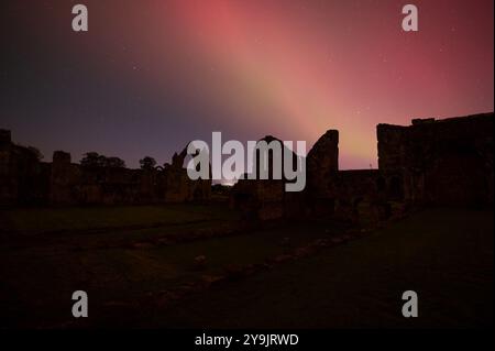 Abbaye de Haughmond, Shrewsbury. 11 octobre 2024. De vives aurores boréales brillent autour des ruines de l'abbaye de Haughmond près de Shrewsbury aux premières heures du vendredi matin. L'aurore était visible dans la plupart des régions du Royaume-Uni. Haughmond a été fondée en tant que petite chapelle ou ermitage sur une colline boisée à l'est de Shrewsbury vers 1100 et détruite. L'abbaye a été dissoute en 1539 dans le cadre de la dissolution nationale des monastères par Henri VIII. Crédit : British News and Media/Alamy Live News Banque D'Images