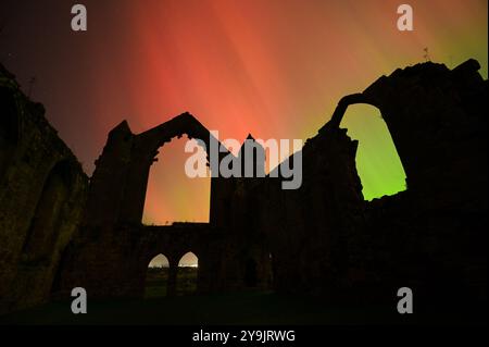 Abbaye de Haughmond, Shrewsbury. 11 octobre 2024. De vives aurores boréales brillent autour des ruines de l'abbaye de Haughmond près de Shrewsbury aux premières heures du vendredi matin. L'aurore était visible dans la plupart des régions du Royaume-Uni. Haughmond a été fondée en tant que petite chapelle ou ermitage sur une colline boisée à l'est de Shrewsbury vers 1100 et détruite. L'abbaye a été dissoute en 1539 dans le cadre de la dissolution nationale des monastères par Henri VIII. Crédit : British News and Media/Alamy Live News Banque D'Images