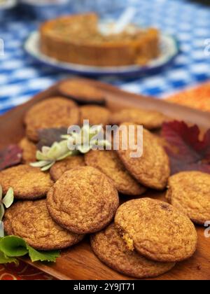 Foire de pique-nique Potluck lors d'une fête de quartier à Berkeley, Californie. Banque D'Images