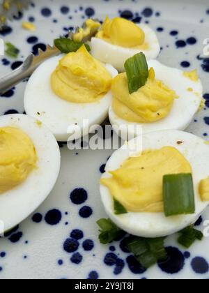 Foire de pique-nique Potluck lors d'une fête de quartier à Berkeley, Californie. Banque D'Images