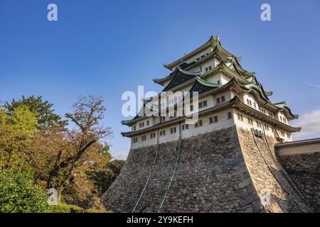 Nagoya Aichi Japon, saison d'automne au château de Nagoya Banque D'Images