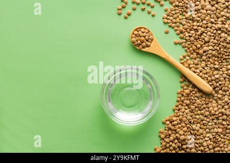 Lens culinaris - lentilles brunes biologiques à tremper dans l'eau. Banque D'Images