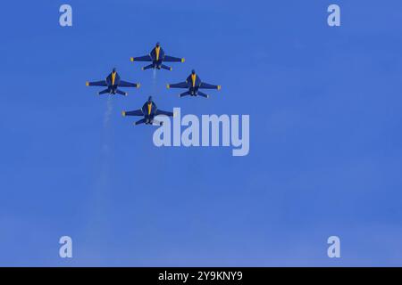 01 mars 2024-El Centro, CA : les Blue Angels répètent des acrobaties aériennes de précision avant les débuts de la saison, mettant en valeur les compétences et le travail d'équipe dans les manœuvres de haut vol Banque D'Images