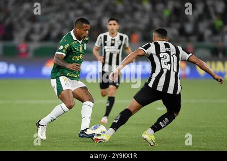 Rio de Janeiro, Brésil, 17 juillet 2024. Match de football entre Botafogo vs Palmeiras, pour le championnat brésilien 2024, tenu à la rue Nilton Santos Banque D'Images