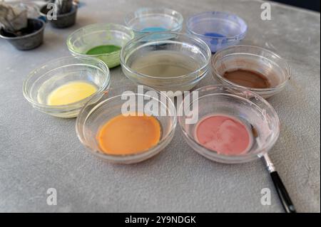 Différentes nuances de peinture sont soigneusement disposées dans des bols en verre sur un espace de travail. Banque D'Images