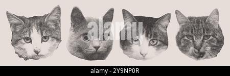 Ensemble de têtes de chat demi-teintes rétro. Effet de photocopie en pointillés Illustration de Vecteur