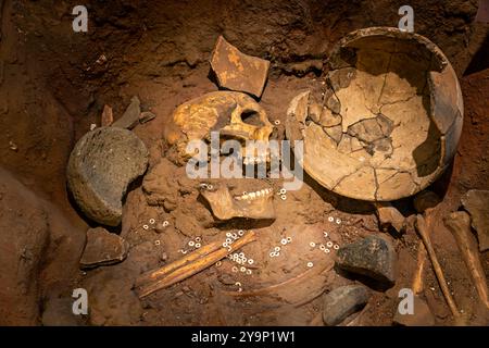 os du crâne et outils trouvés dans les tombes d'une ancienne sépulture. l'exposition de fouilles archéologiques, Banque D'Images