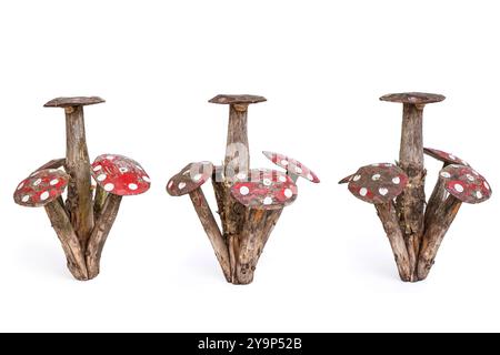 Champignons de jardin en bois tournés sous plusieurs angles, isolés sur blanc Banque D'Images