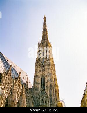 Cathédrale d'Étienne, Vienne, Autriche, Europe. Banque D'Images