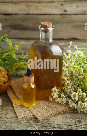 Teintures en bouteilles et herbes médicinales sur table en bois Banque D'Images