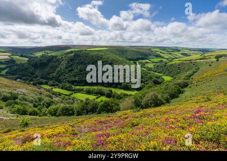 East Lyn Valley, ou Brendon Valley, et Ashton Cleave de Cosgate Hill dans le parc national d'Exmoor sur la frontière du Devon et du Somerset, en Angleterre. Banque D'Images