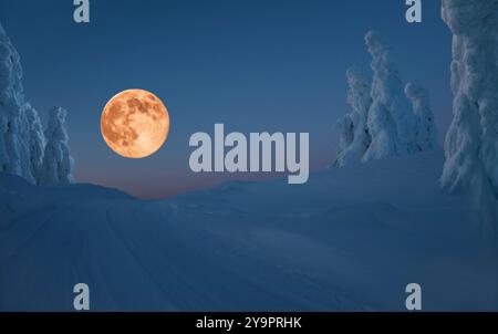 Pleine lune se levant au-dessus du paysage hivernal enneigé. Épicéas recouverts de neige. Banque D'Images