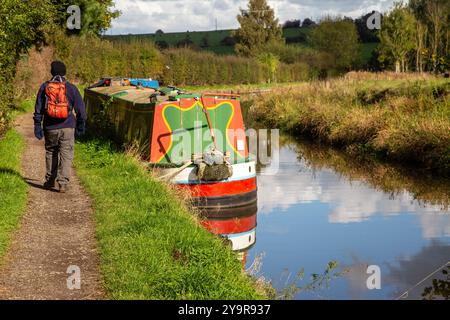 Homme marchant à dos le long du chemin de halage devant des bateaux étroits amarrés sur le canal de Caldon dans la campagne du Staffordshire en Angleterre Banque D'Images