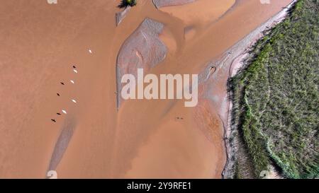 Yinchuan. 10 octobre 2024. Une photo de drone aérien prise le 10 octobre 2024 montre des oiseaux migrateurs survolant une section du fleuve jaune dans la région autonome de Ningxia hui, au nord-ouest de la Chine. Crédit : Wang Peng/Xinhua/Alamy Live News Banque D'Images