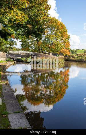 Le canal de Caldon à sa jonction avec la branche Leek du canal de Caldon à Hazelhurst jonction Staffordshire en automne Banque D'Images