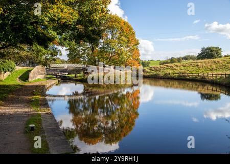 Le canal de Caldon à sa jonction avec la branche Leek du canal de Caldon à Hazelhurst jonction Staffordshire en automne Banque D'Images