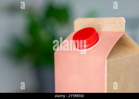 Conteneur en carton longue durée à partir de matériaux recyclés avec bouchon fixe en plastique. Le bouchon reste attaché après ouverture, ce qui rend l'emballage entier Banque D'Images