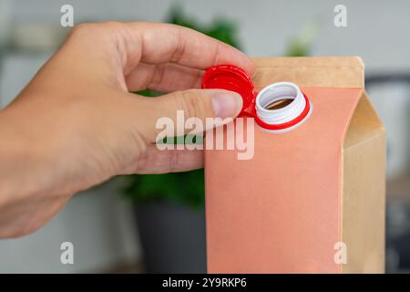 Conteneur en carton longue durée à partir de matériaux recyclés avec bouchon fixe en plastique. Le bouchon reste attaché après ouverture, ce qui rend l'emballage entier Banque D'Images