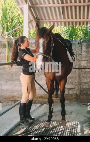 Jeune femme toilettant et sellant un cheval brun dans une écurie, portant un cheval équestre Banque D'Images