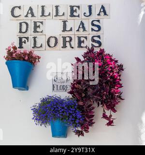 La célèbre Calle de las Flores à Cordoue, Espagne Banque D'Images