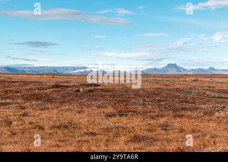 Langjökull vue sur le glacier à travers le champ près de Gullfoss Banque D'Images