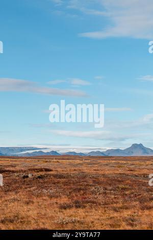 Langjökull vue sur le glacier à travers le champ près de Gullfoss Banque D'Images