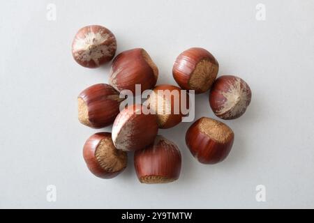 Détail de fond d'un tas de noisettes avec coquille isolé sur une table blanche. Vue de dessus. Banque D'Images