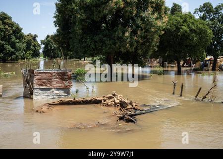 Al Fousseini Camara/le Pictorium - inondations à Bamako au Mali et inondations du fleuve Niger septembre 2024. - 28/09/2024 - Mali/District de Bamako/Bamako - sur l’île des « aux Manguiers », un camp de personnes déplacées (PDI) a été complètement submergé par la montée des eaux et les inondations du fleuve Niger. L'île est située au milieu du fleuve Niger entre les districts de Badalabougou, Magnanbougou et Cité du Niger sur l'autre rive. L'eau couvrait une bonne partie de l'île et détruisait de nombreuses maisons de boue là aussi. Suite aux fortes pluies de ces derniers jours, le fleuve Niger h Banque D'Images