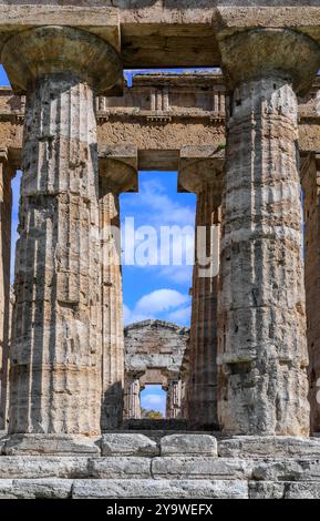 Temple de Neptune à Paestum en Italie : détail des colonnes doriques. Banque D'Images