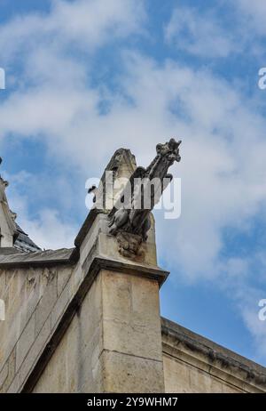 Gargouille Ghotic, Saint-Étienne-du-Mont, église catholique à Paris, sur la montagne Sainte-Geneviève, près du célèbre monument du Panthéon Banque D'Images