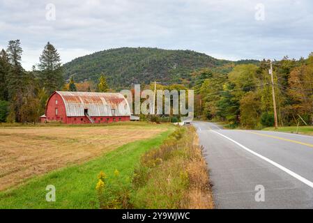 Vieille grange en bois rouge avec un toit en métal le long d'une route dans un cadre de montagne un jour nuageux d'automne Banque D'Images