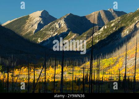 Crêtes de la chaîne Sawtooth le long de la rivière North Fork Teton, Lewis et Clark National Forest, Montana Banque D'Images