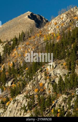 Crêtes de la chaîne Sawtooth le long de la rivière North Fork Teton, Lewis et Clark National Forest, Montana Banque D'Images