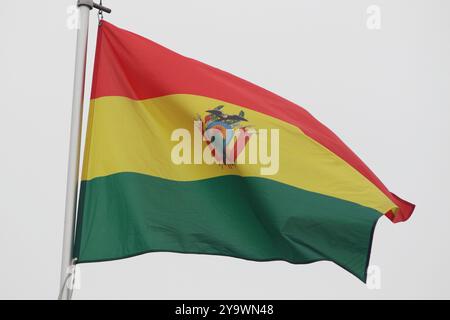 Saint-Pétersbourg, Russie. 10 octobre 2024. Drapeau national de l'État plurinational de Bolivie, flottant dans le vent sur un mât de drapeau à Saint-Pétersbourg, en Russie. Crédit : SOPA images Limited/Alamy Live News Banque D'Images