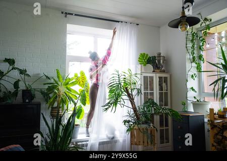 Femme accroche des rideaux de tulle transparents sur de grandes fenêtres dans la maison à l'intérieur. Nettoyage de printemps, rangement Banque D'Images