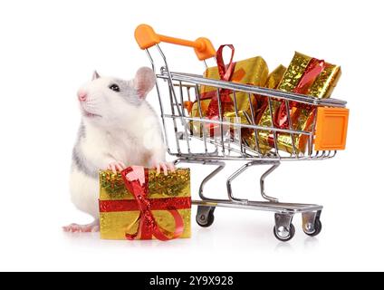 Petit rat mignon avec boîte-cadeau à côté du panier plein de cadeaux isolé sur fond blanc Banque D'Images