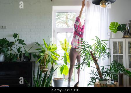 Femme accroche des rideaux de tulle transparents sur de grandes fenêtres dans la maison à l'intérieur. Nettoyage de printemps, rangement Banque D'Images