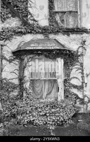 Hôtel abandonné à Ruins, Devon, Royaume-Uni Banque D'Images