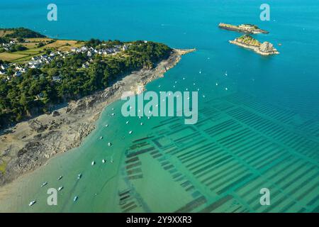 France, Ille-et-Vilaine, Cancale, vue graphique aérienne des élevages ostréicoles près de la ville dans la baie du Mont Saint-Michel, avec pointe du Grouin visible au nord (vue aérienne) Banque D'Images