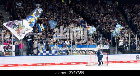 Muenchen, Deutschland. 11 octobre 2024. Die Muenchner Fankurve GER, EHC Red Bull Muenchen gegen Duesseldorfer EG, Eishockey, DEL, 8. Spieltag, saison 2024/2025, 11.10.2024. Foto : Eibner-Pressefoto/Heike Feiner crédit : dpa/Alamy Live News Banque D'Images