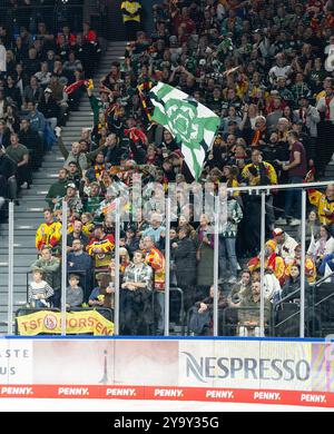 Muenchen, Deutschland. 11 octobre 2024. Duesseldorfer Fankurve GER, EHC Red Bull Muenchen gegen Duesseldorfer EG, Eishockey, DEL, 8. Spieltag, saison 2024/2025, 11.10.2024. Foto : Eibner-Pressefoto/Heike Feiner crédit : dpa/Alamy Live News Banque D'Images